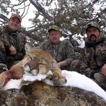 Bruce 2010 mountain lion hunt