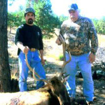 successful elk hunt 2010
