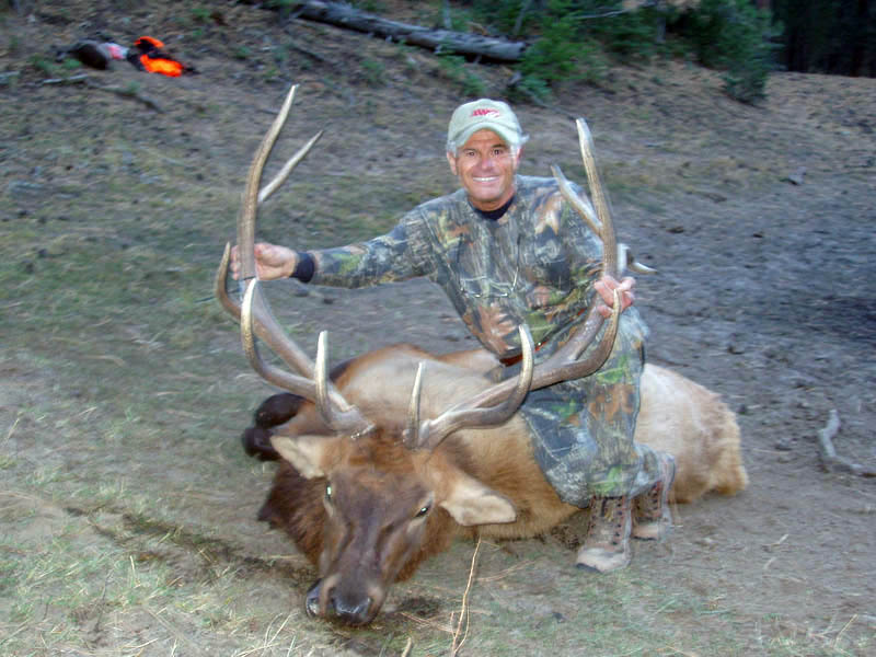 Colorado elk hunting 2nd rifle season