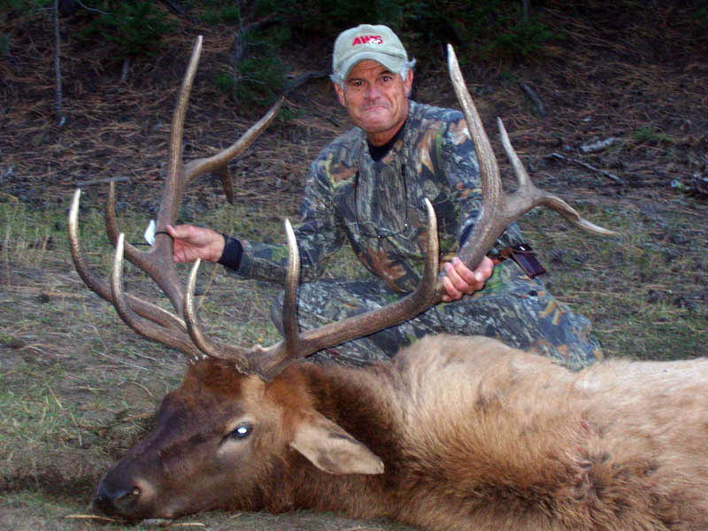 2012 elk 2nd rifle season | Trujillo Creek Outfitters for Elk, Deer ...